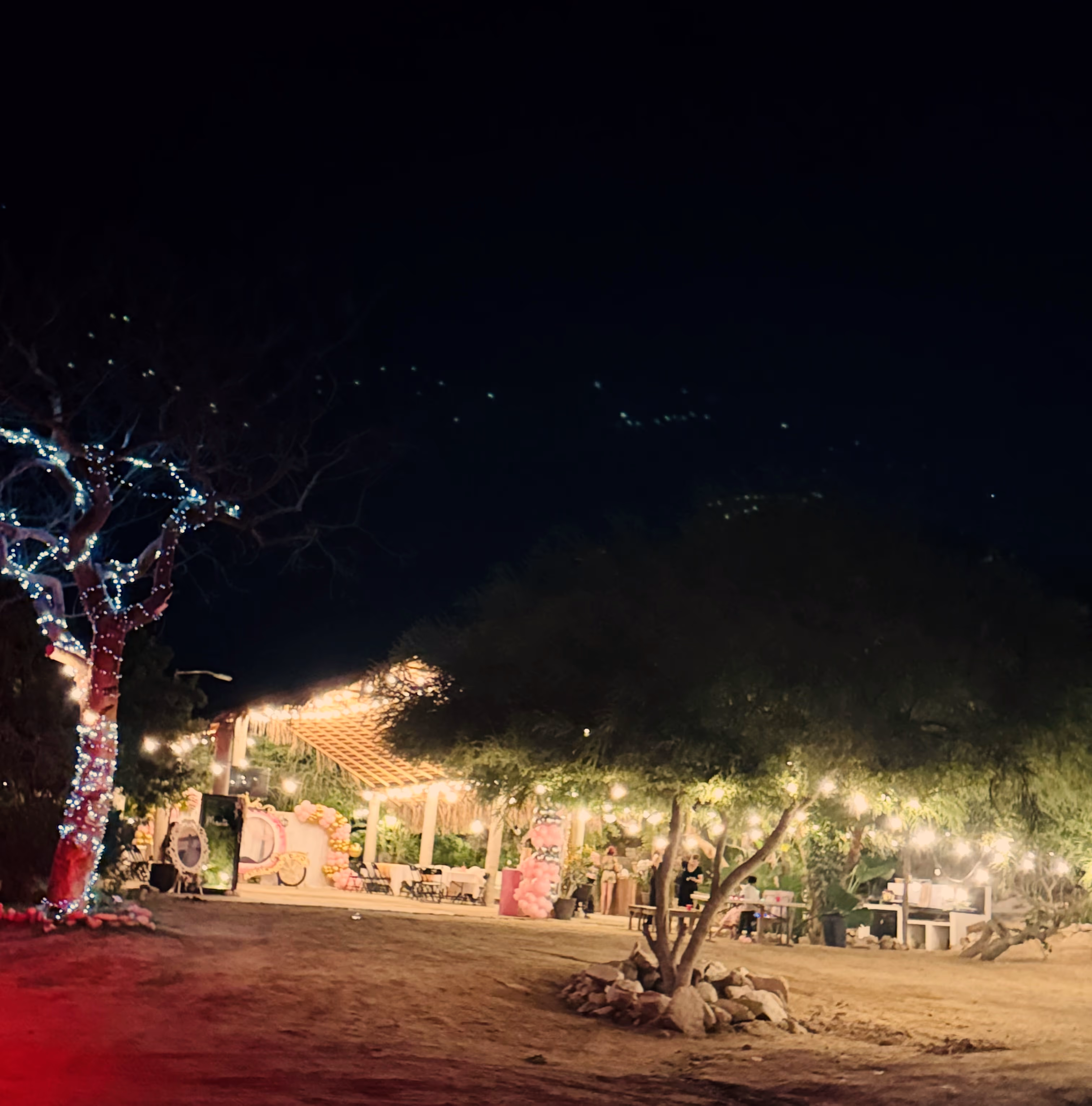 Fiesta de cumpleaños en la palapa