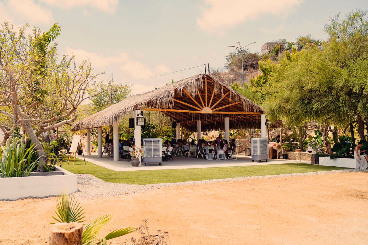 Vista de la palapa y el jardín de día