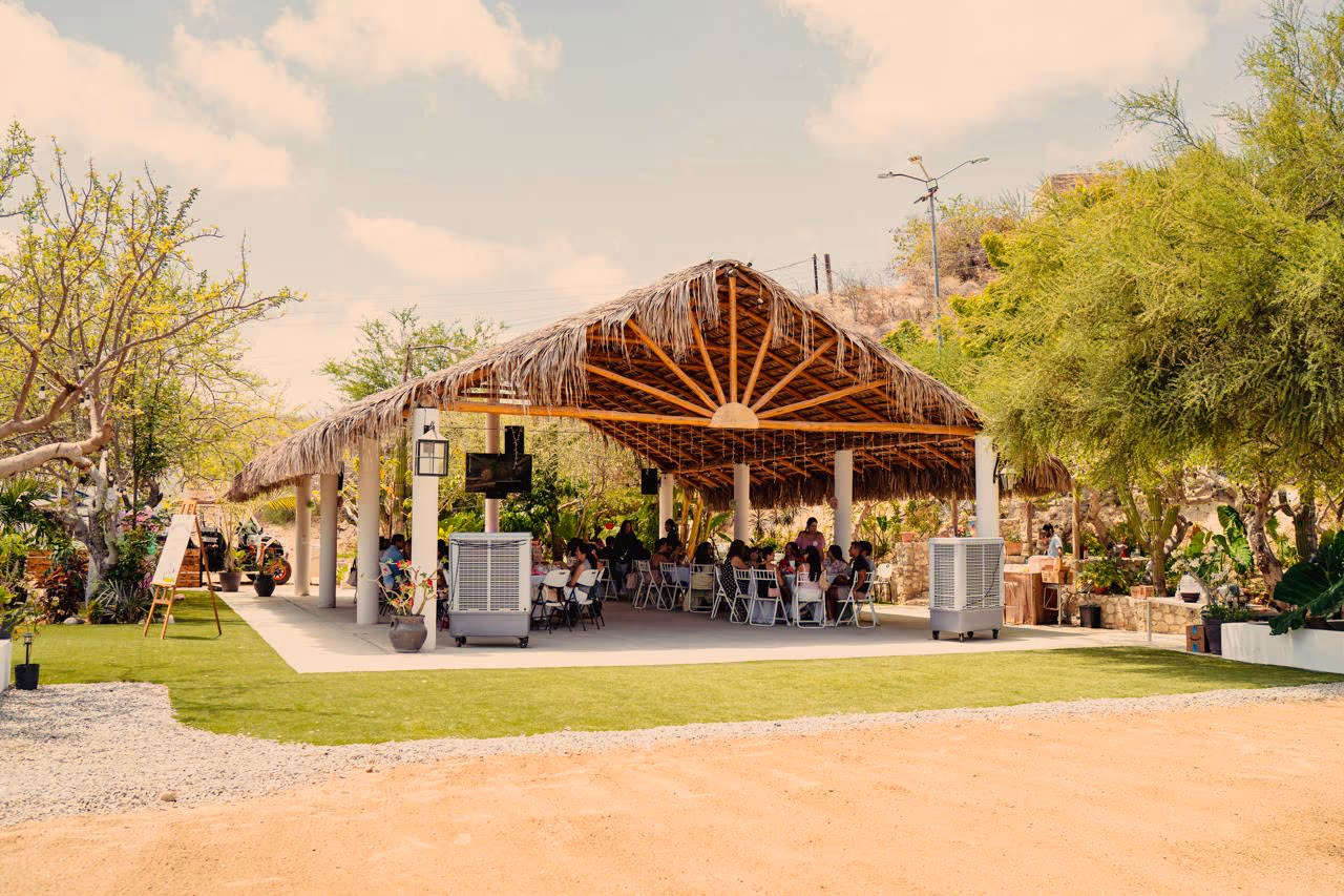 Techo de palapa de día